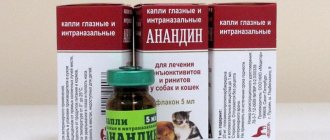 Анандин для собак