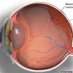 Диагностика