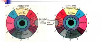 диагноз по глазам