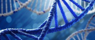Human DNA