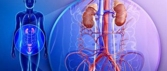 хронических заболеваний мочеполовой системы