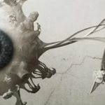 Interesting facts about human eyes and vision, their structure and functioning