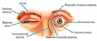 Examination of the lacrimal apparatus of the eye