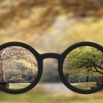 Как фокусируется изображение к близоруком глазу? Причины и коррекция близорукости