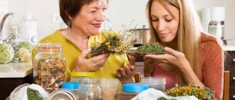 Компрессы и примочки, пропитанные отварами растений, издавна применяются для промывания глаз