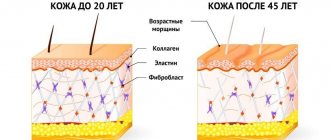 кожа до 25 леи и после 45 лет