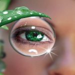 лечение дистрофии сетчатки глаза народными средствами