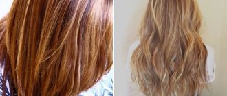 honey hair color highlights