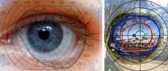 Нормальные границы поля зрения