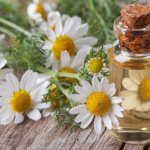 Основа крема демалан - экстракт ромашки