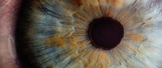 От чего зависит цвет глаз у человека