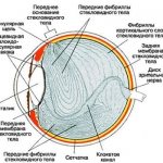 отслоение сетчатки