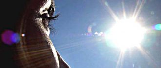 Ожоги глаз - причины и лечение