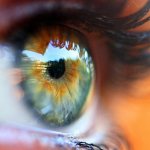 transparent spots float before my eyes