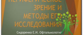 Периферическое зрение и методы его исследования | Офтальмология