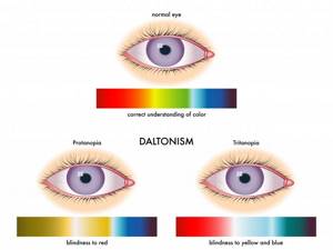Почему глаза видят цвета по-разному