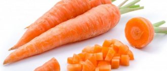 Польза моркови для зрения