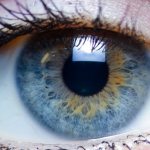 Роговица — один из органов человеческого глаза