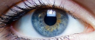 Роговица — один из органов человеческого глаза