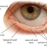 Схема расположения конъюктивального мешка
