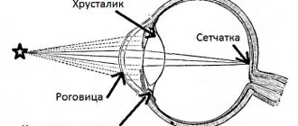 Спазм аккомодации (ложная близорукость) у детей и взрослых