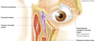 The structure of the lacrimal canal