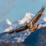 восстановиться после замены хрусталика