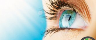 Human vision